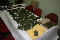Slika PU_PS/slike-vijesti/2012 godina/travaw.jpg